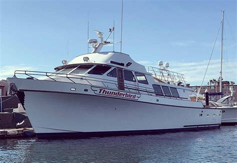 thunderbird sportfishing|newport beach sportfishing boats.